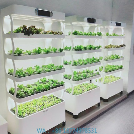 Hydroponic Automated Grow Syst - Home Automation Diy 评论和价格